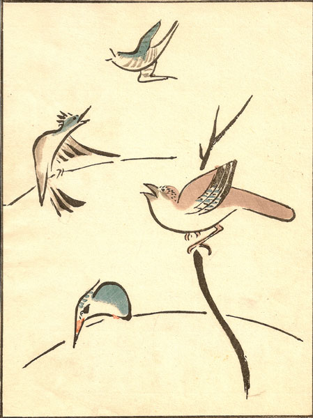 Japanese-Songbirds