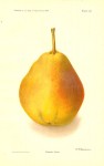 US Agriculture Rossney Pear