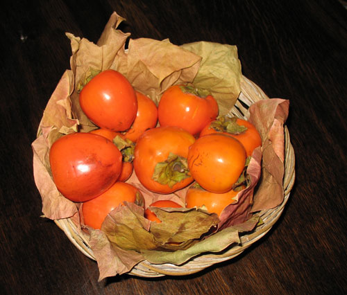 persimmons333